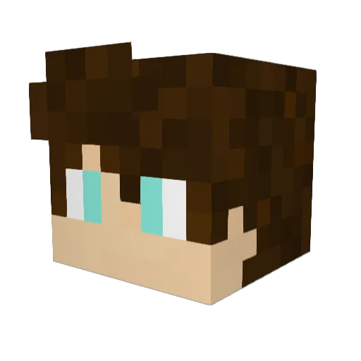 Liuyr_ Minecraft avatar head, 3D render
