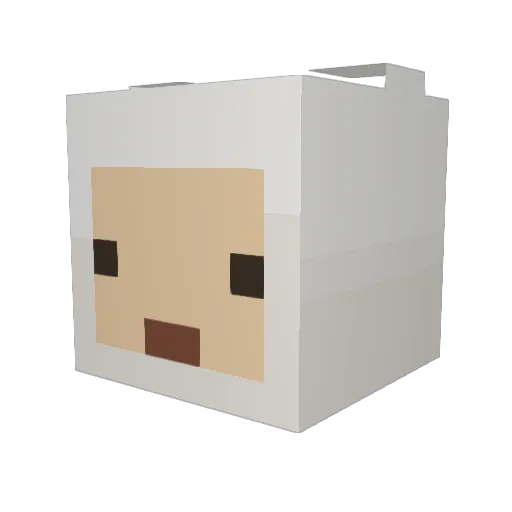 Liv0369 Minecraft avatar head, 3D render