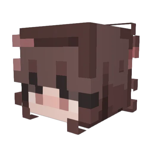 Liv051220 Minecraft avatar head, 3D render