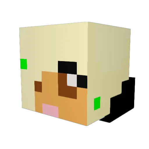 Liv4Sloths Minecraft avatar head, 3D render
