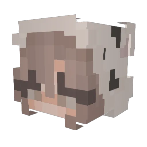 LivLoveRide Minecraft avatar head, 3D render