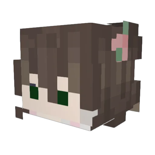 LivWisely Minecraft avatar head, 3D render