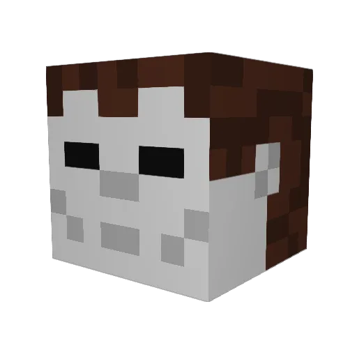 LivWolf5 Minecraft avatar head, 3D render