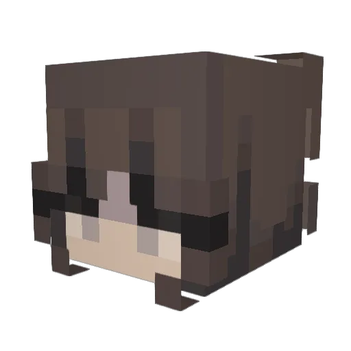 Liv_3214 Minecraft avatar head, 3D render
