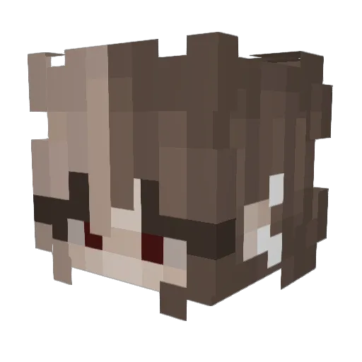 Liv_325 Minecraft avatar head, 3D render