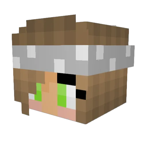 Liv_424 Minecraft avatar head, 3D render