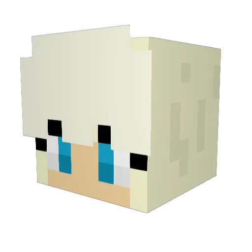 Liv__Laugh__Love Minecraft avatar head, 3D render