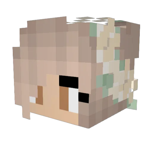 Livcraft18 Minecraft avatar head, 3D render