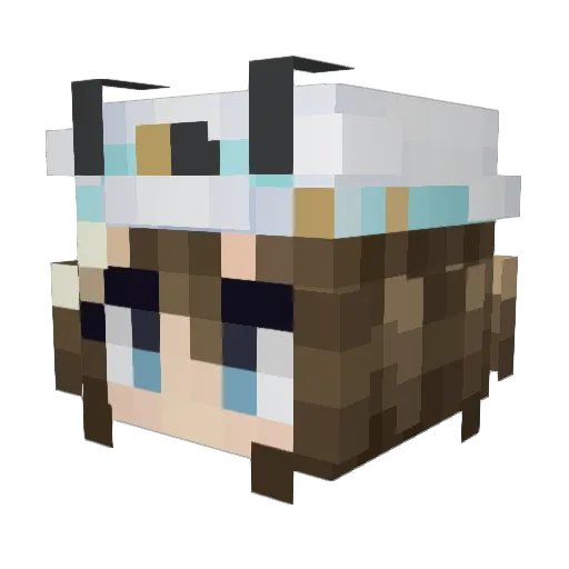 LiveLafListerine Minecraft avatar head, 3D render