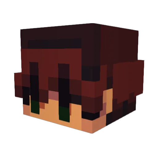 Liven1713 Minecraft avatar head, 3D render
