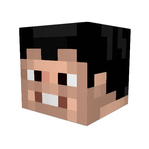 Liverpool31 Minecraft avatar head, 3D render