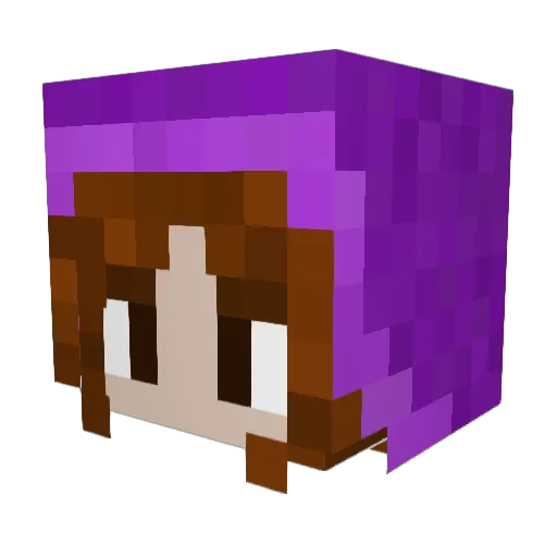 LivesInaHoodie Minecraft avatar head, 3D render