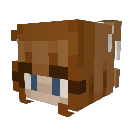 LiviGirl811 Minecraft avatar head, 3D render