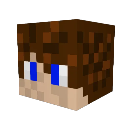 LividToucan Minecraft avatar head, 3D render