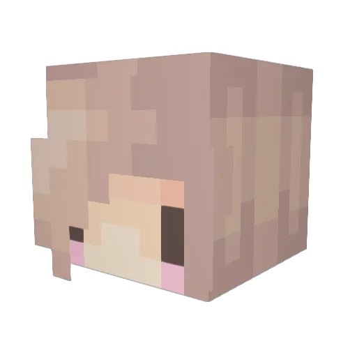 LivingDead11 Minecraft avatar head, 3D render
