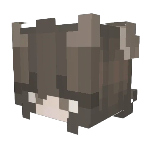 Livvy_Rats Minecraft avatar head, 3D render