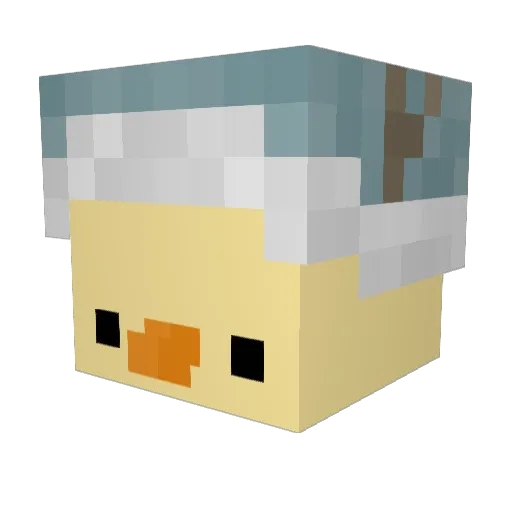 Livy_4506 Minecraft avatar head, 3D render