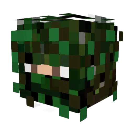 Liwei981 Minecraft avatar head, 3D render
