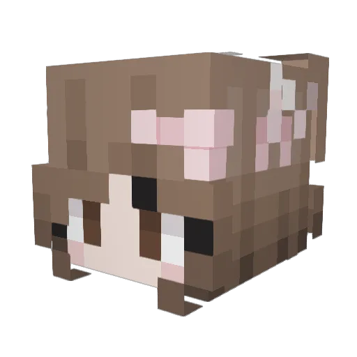 Liwia123x Minecraft avatar head, 3D render