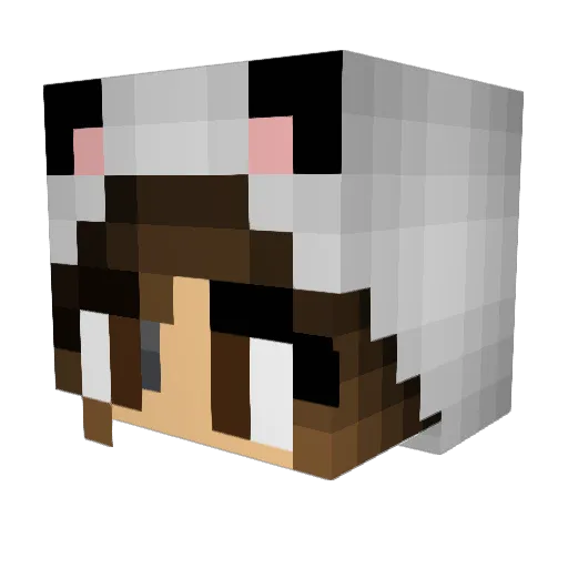Liwia555 Minecraft avatar head, 3D render