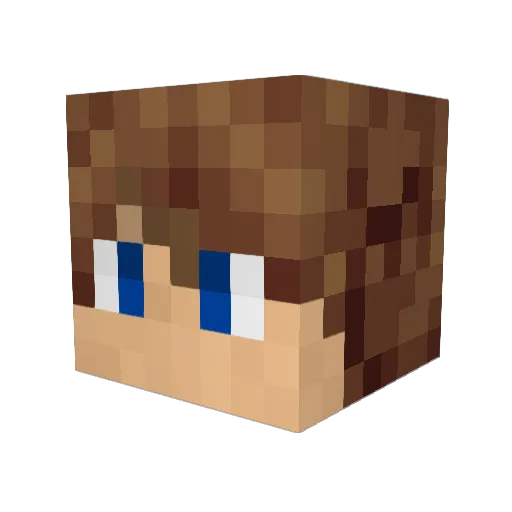 Lix55 Minecraft avatar head, 3D render