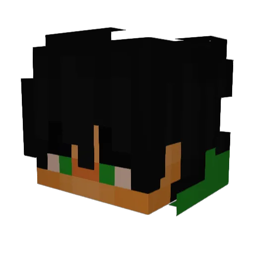 LixMp4 Minecraft avatar head, 3D render