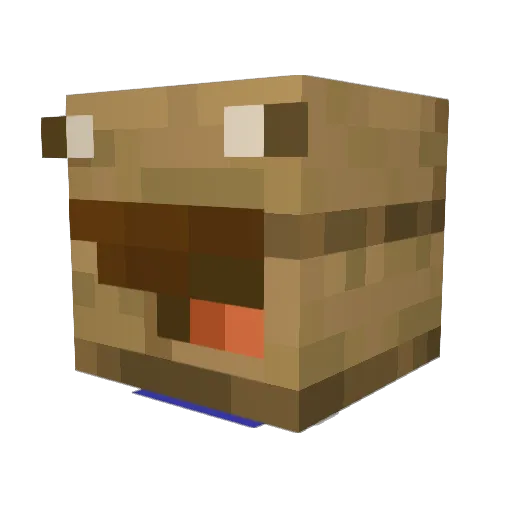 Lix_P00 Minecraft avatar head, 3D render