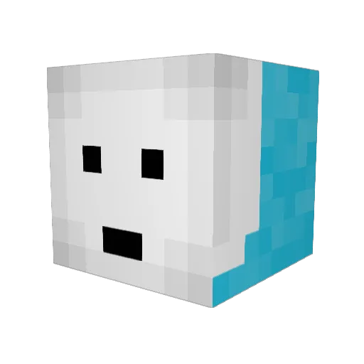 Lixen_MC Minecraft avatar head, 3D render