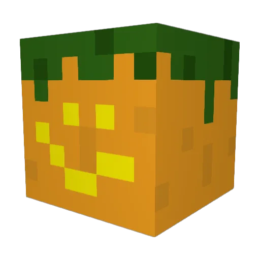 Lixenny Minecraft avatar head, 3D render