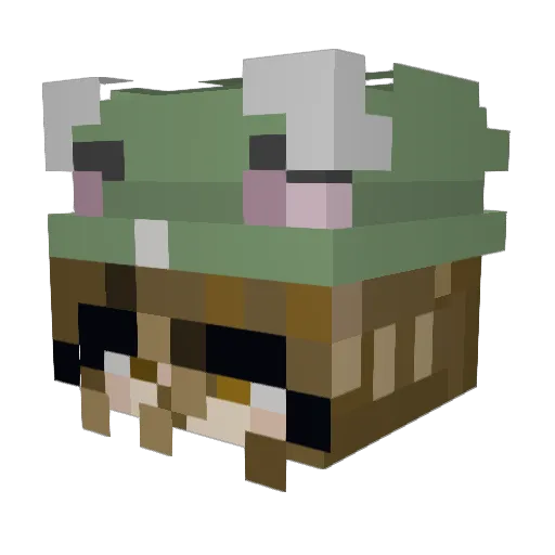 Lixi9 Minecraft avatar head, 3D render