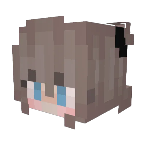 Lixx2975 Minecraft avatar head, 3D render
