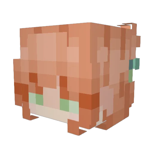 Lixxome Minecraft avatar head, 3D render