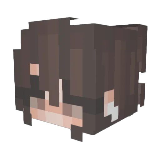 Lixxx13 Minecraft avatar head, 3D render