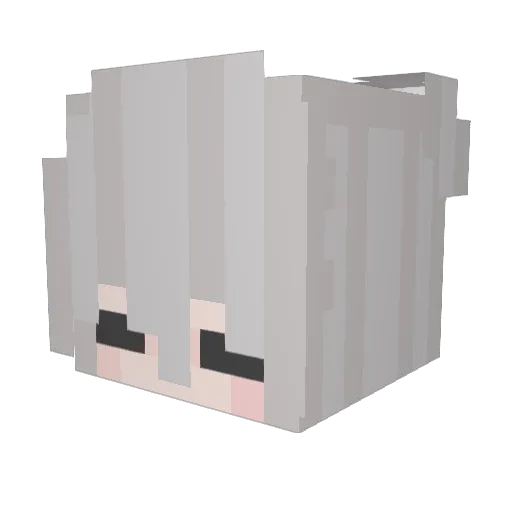 Liya808 Minecraft avatar head, 3D render