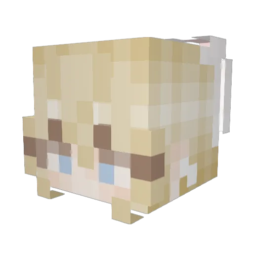 Liz0zyy Minecraft avatar head, 3D render