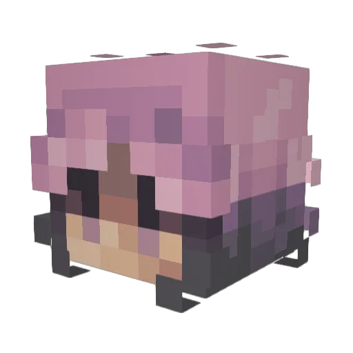 LizArtsy Minecraft avatar head, 3D render