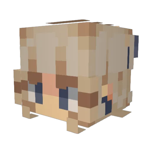 LizBef513 Minecraft avatar head, 3D render