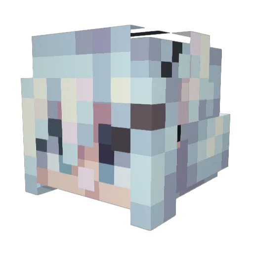 LizBetX Minecraft avatar head, 3D render