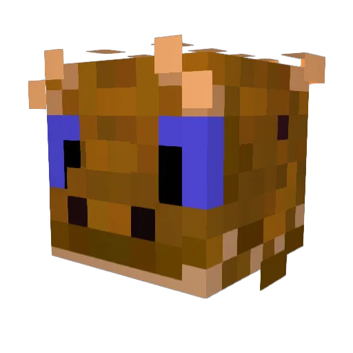 LizSquared Minecraft avatar head, 3D render