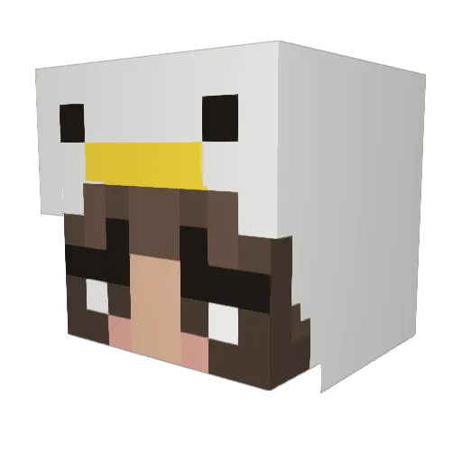 LizTheNothing Minecraft avatar head, 3D render
