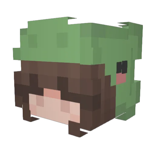 Liz_75 Minecraft avatar head, 3D render