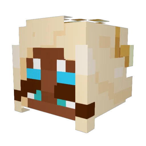 Liz_The_Sandwich Minecraft avatar head, 3D render