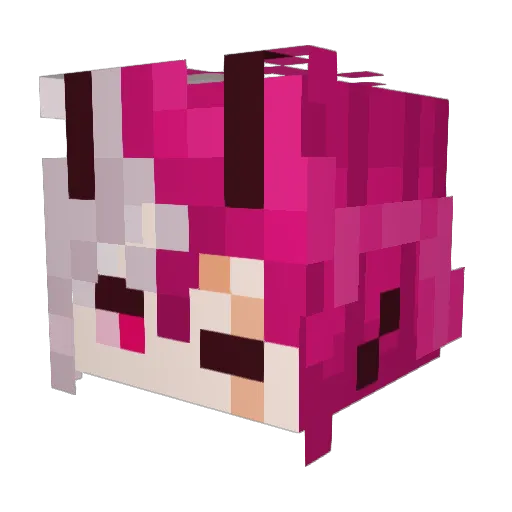 Liz_WD Minecraft avatar head, 3D render