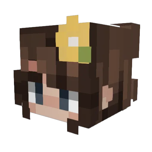 LizaPixelBee Minecraft avatar head, 3D render