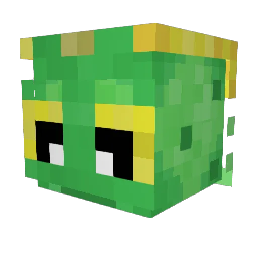 Lizard0f0z_ Minecraft avatar head, 3D render