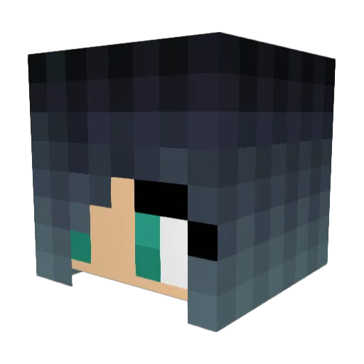 Lizcraft1 Minecraft avatar head, 3D render