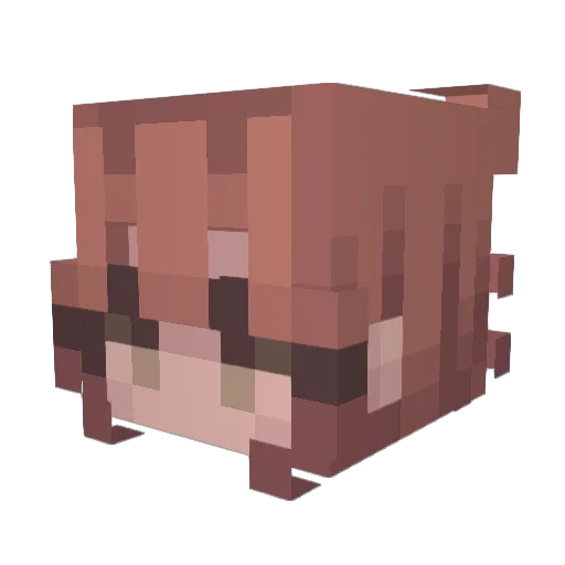 Lizilla5000 Minecraft avatar head, 3D render