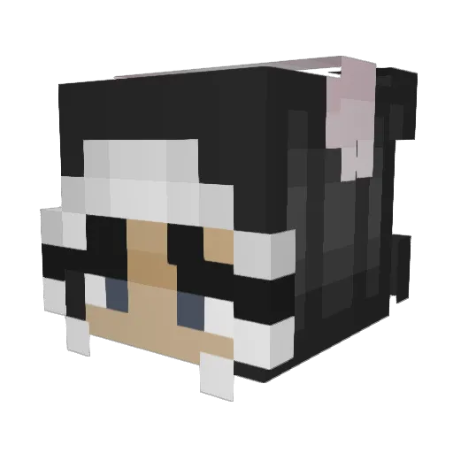 Lizisadontstop Minecraft avatar head, 3D render