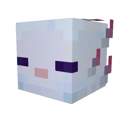 Lizsmiles Minecraft avatar head, 3D render