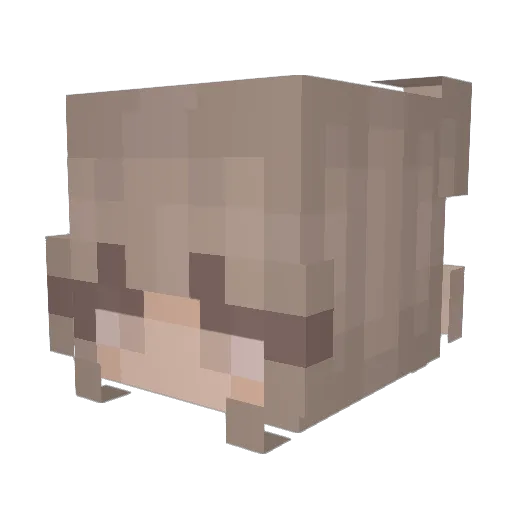 Liztttsama Minecraft avatar head, 3D render
